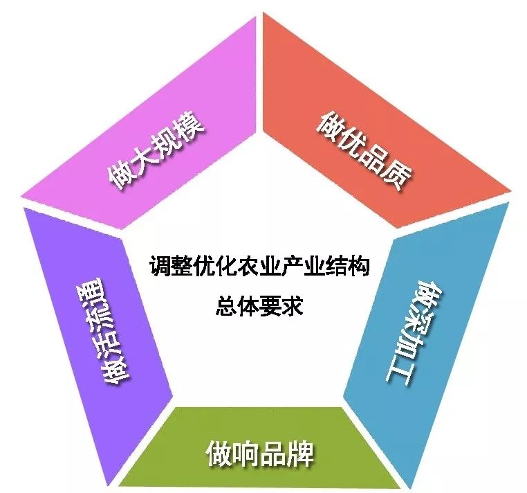 640.webp (1).jpg