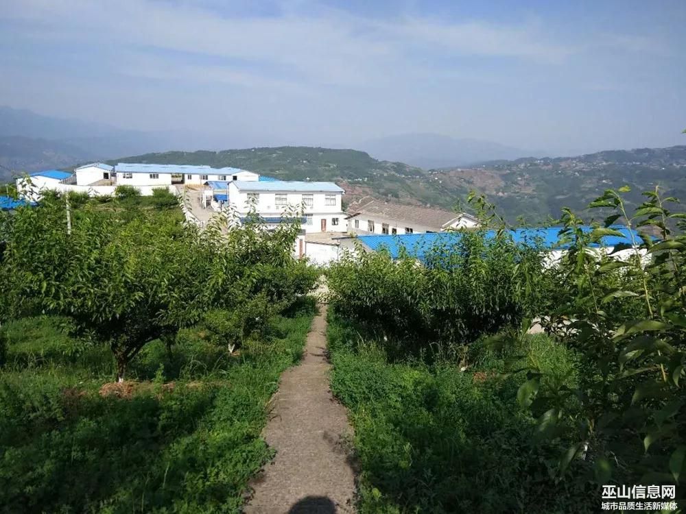 ΢ͼƬ_20190613175537.jpg
