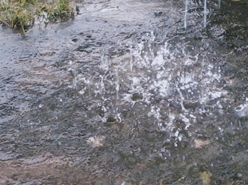 ΢ͼƬ_20190617172808.gif