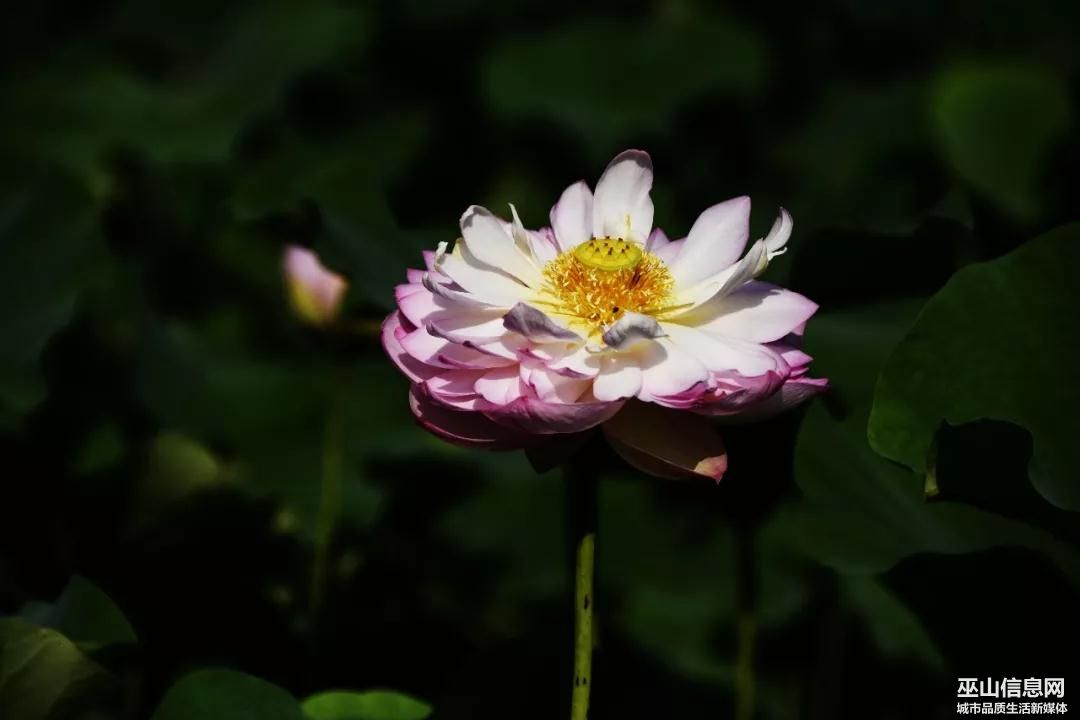 ΢ͼƬ_20190624171746.jpg