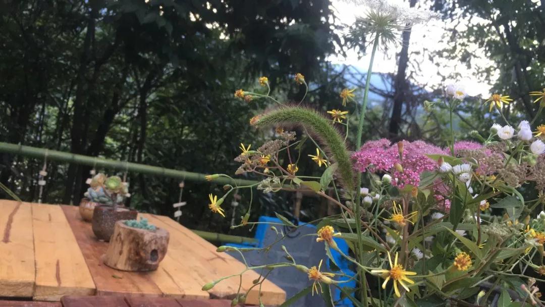 ΢ͼƬ_20190717113359.jpg