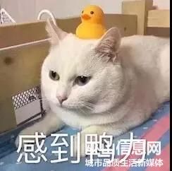 ΢ͼƬ_20190821115027.jpg