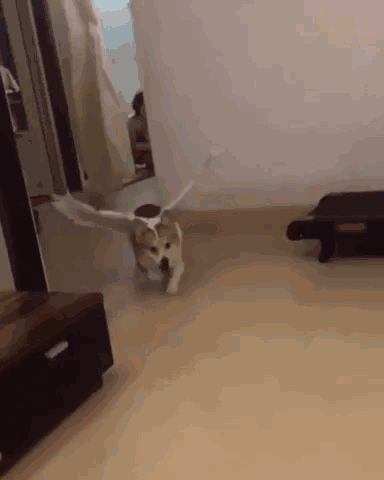 ΢ͼƬ_20190821115051.gif