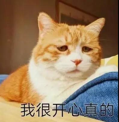 ΢ͼƬ_20190821115118.jpg