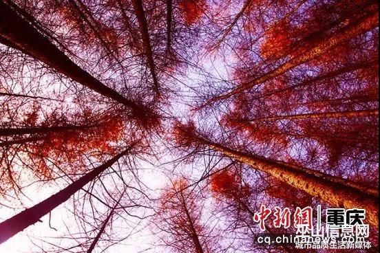 ΢ͼƬ_20191024154159.jpg