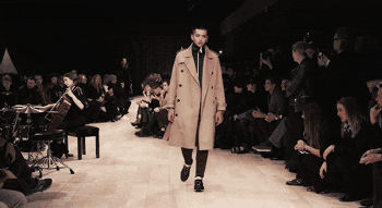 5.gif