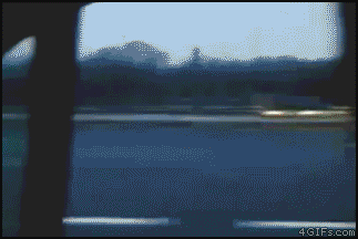 14.gif
