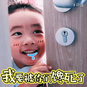 19.gif