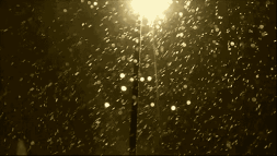 5.gif
