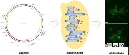 ΢ͼƬ_20200225131751.jpg