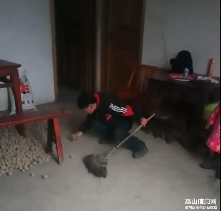 26.jpg