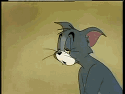 4.gif