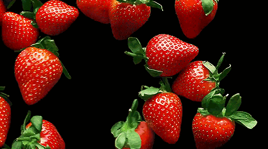 3.gif