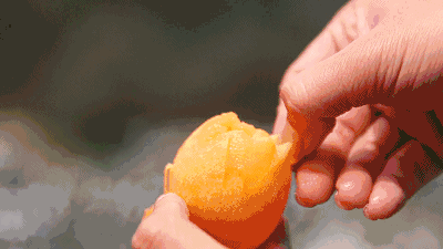 8.gif