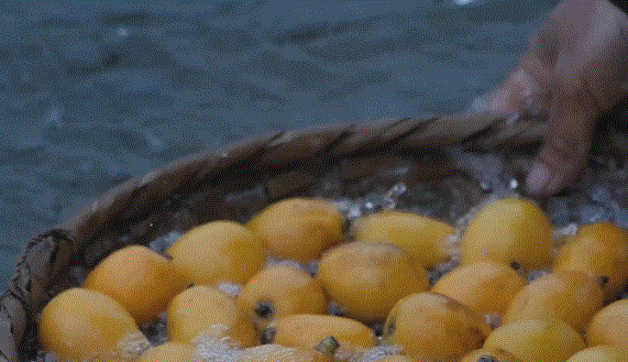 11.gif