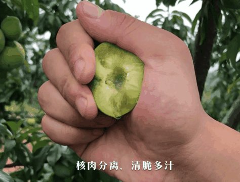6.gif