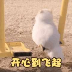 3.gif