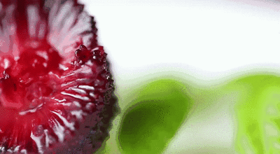 4.gif
