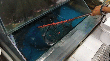 ΢ͼƬ_20200817091114.gif