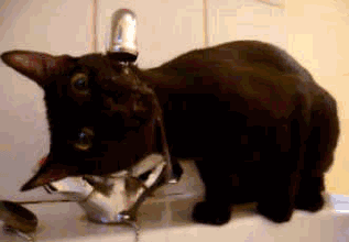 ΢ͼƬ_20200818084453.gif