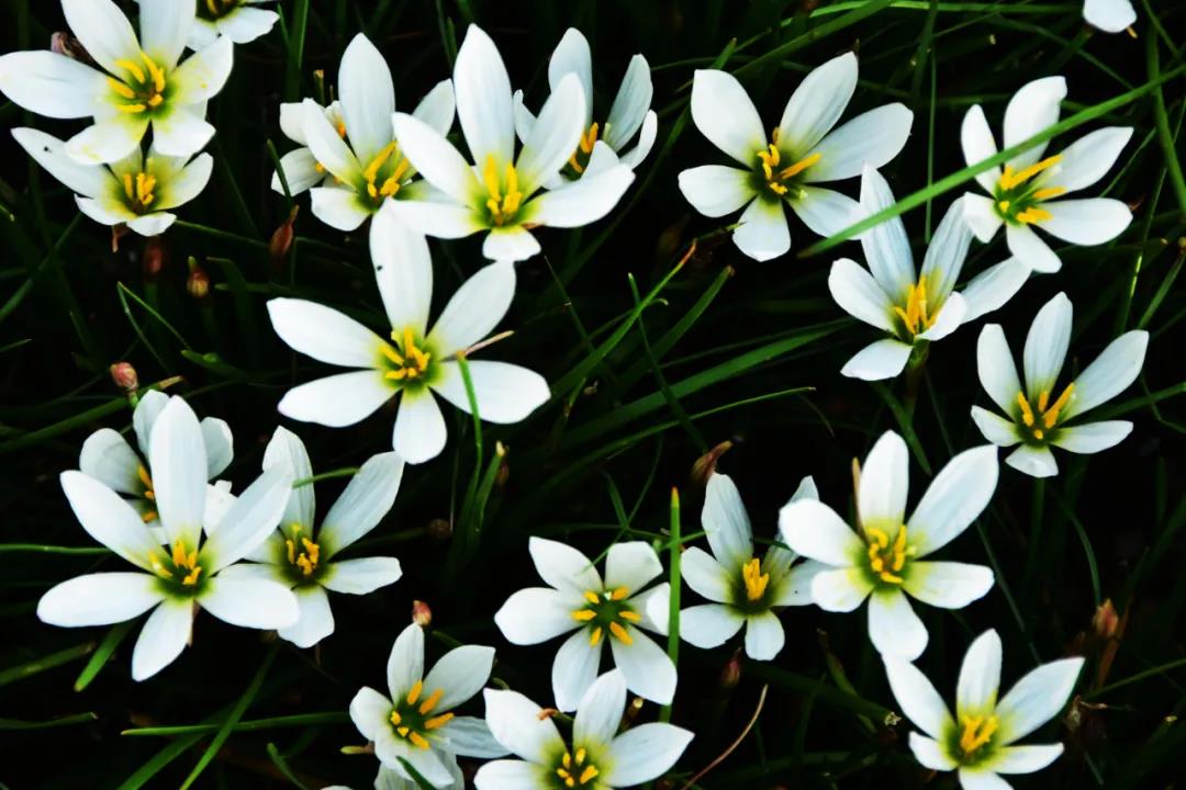 ΢ͼƬ_20200919160728.jpg